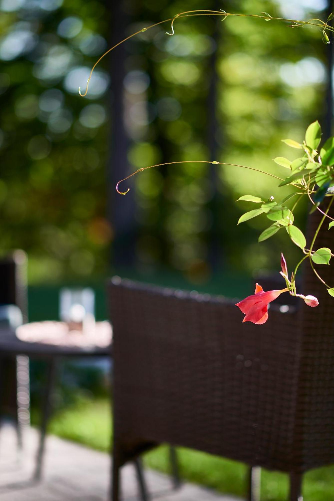 B&B Plitvica Creek Plitvica selo Rum bild