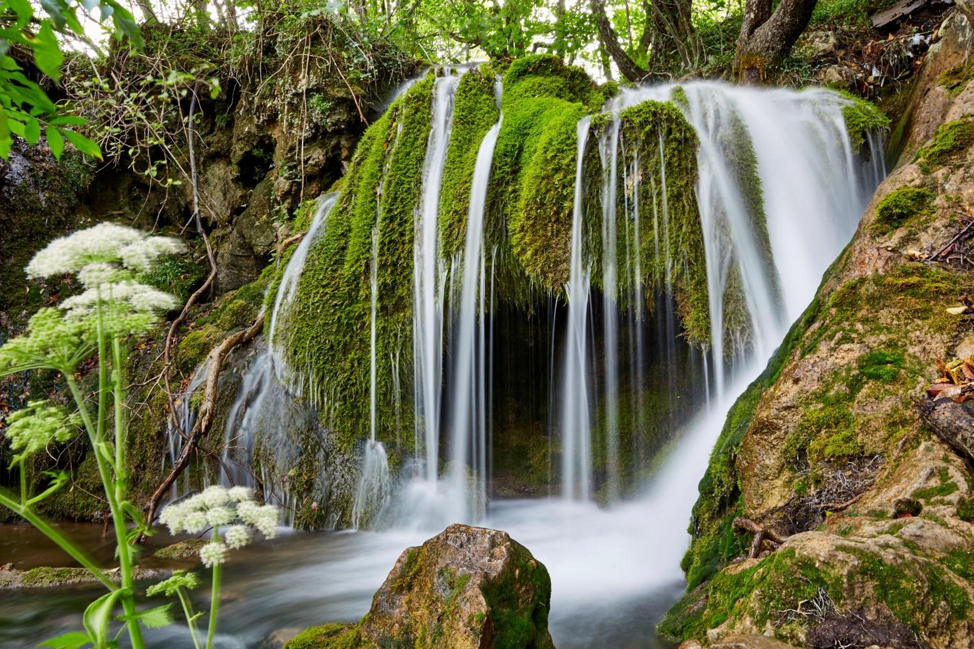 B&B Plitvica Creek Plitvica selo Rum bild